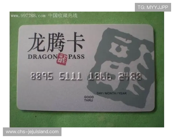 龙腾娱乐公司简介：探索公司在全球化布局中的战略部署与合作伙伴关系